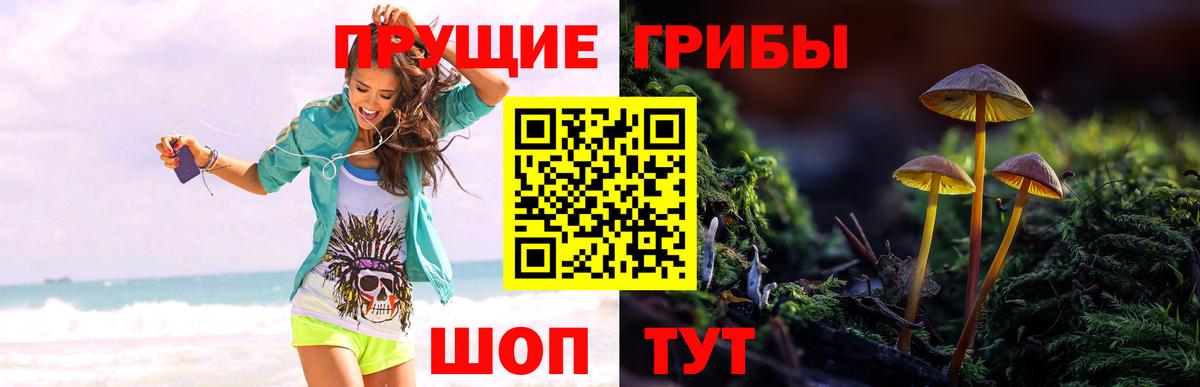 Галлюциногенные грибы GOLDEN TEACHER Усть-Илимск